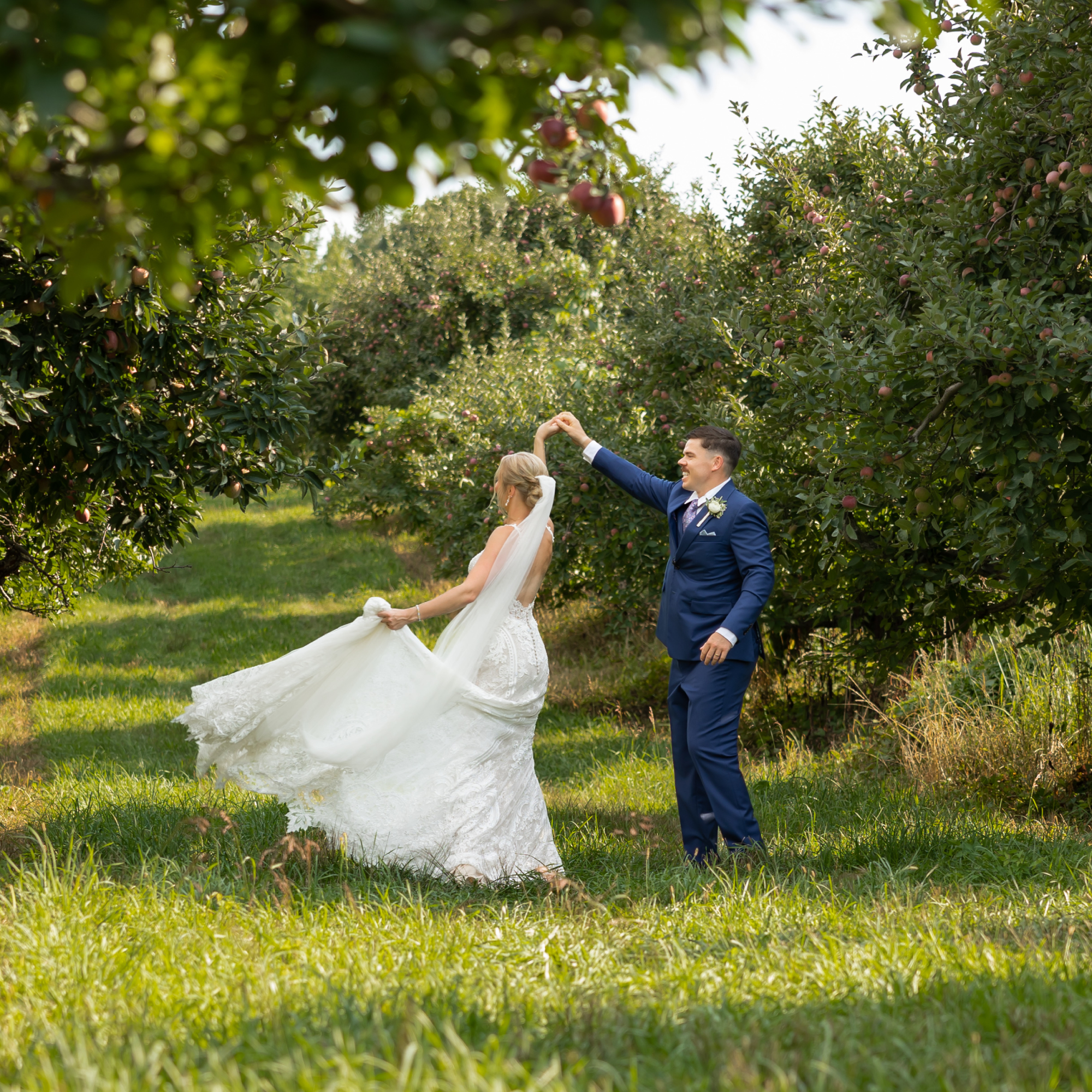 A Michigan bride in a white lace gown and veil twirls with a groom in a blue suit among rows of green apple trees on a sunny day, with grass underfoot and apples visible in the branches.